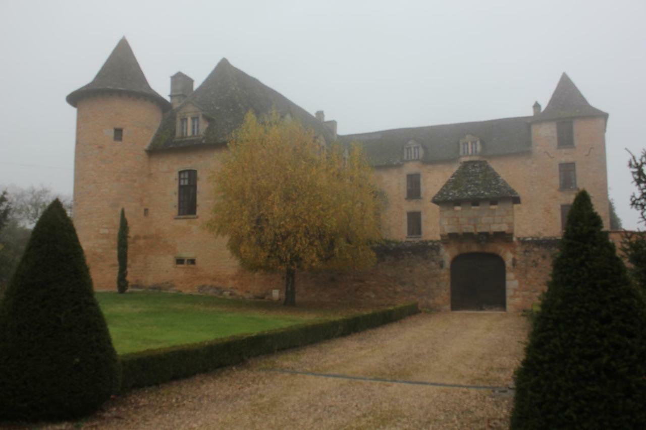 Villa Chateau de Presque à Saint-Médard-de-Presque Extérieur photo