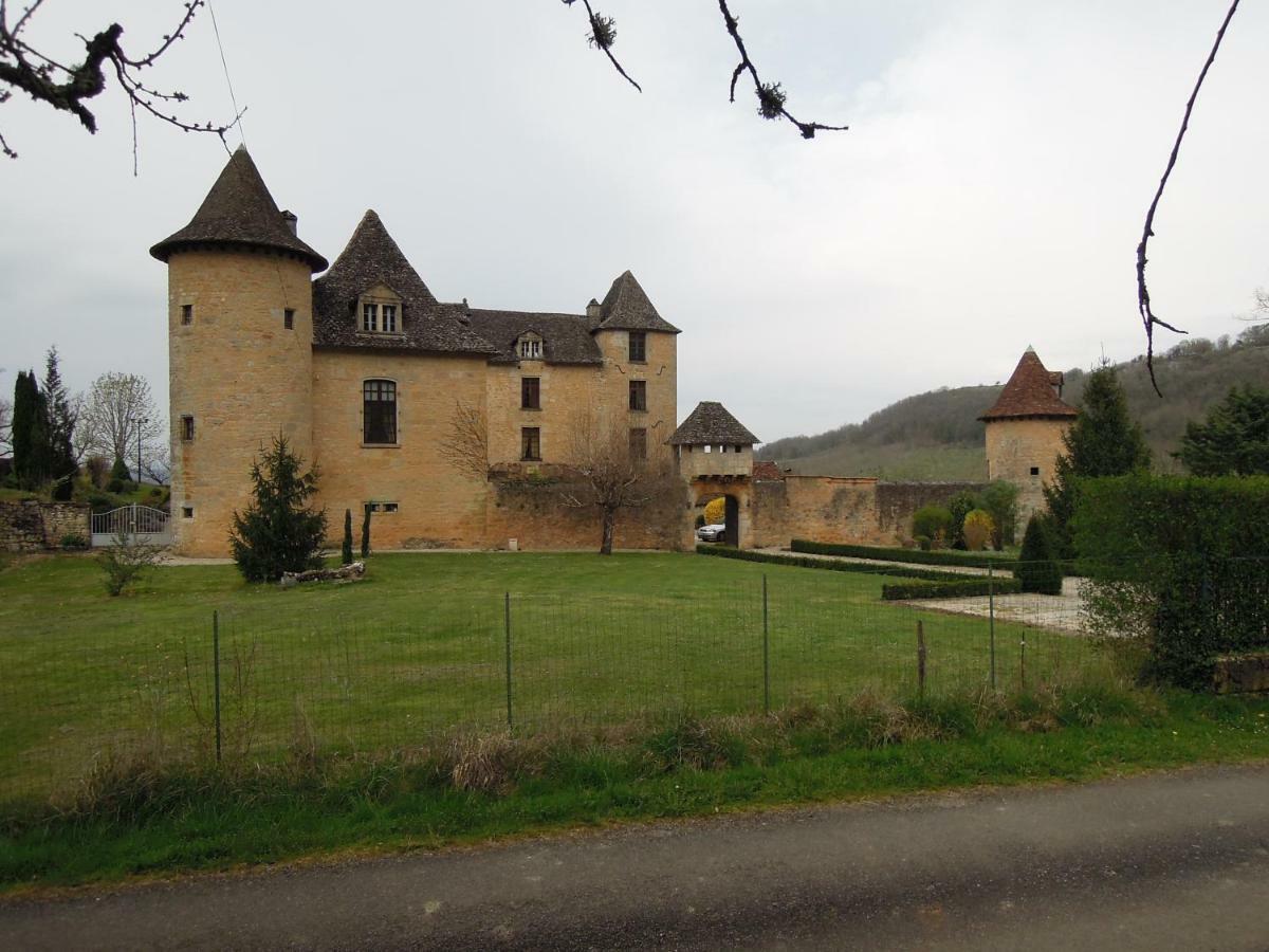 Villa Chateau de Presque à Saint-Médard-de-Presque Extérieur photo